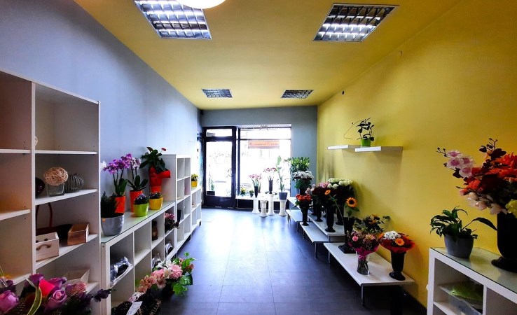 lokal na wynajem - Będzin, Centrum, Małachowskiego